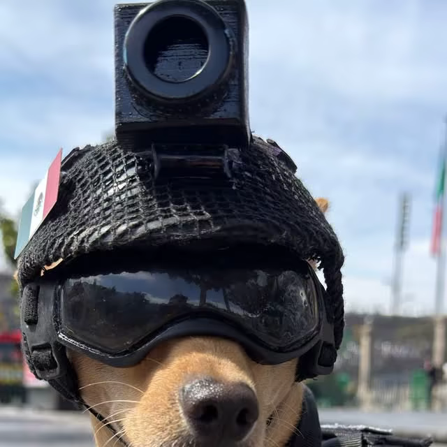 Chihuahua Comando liittyi Meksikon kansalliskaartiin - 7 kilon rekrytti pehmentää imagoa